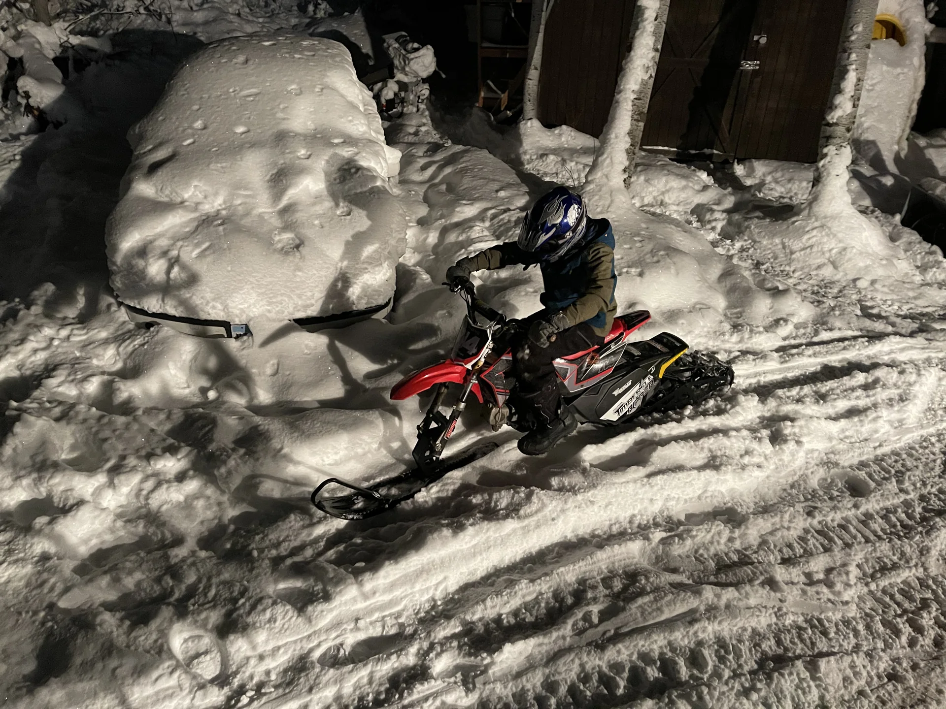 2020 Honda 110 Timbersled Ripper